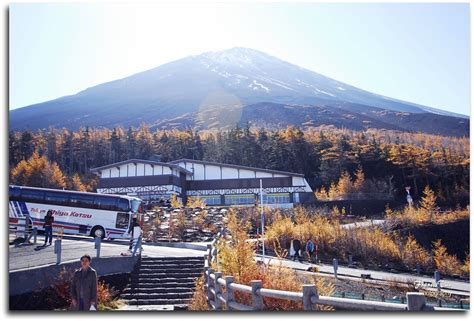 河口湖駅 ランチ: 富士山の麓で味わう絶品グルメ